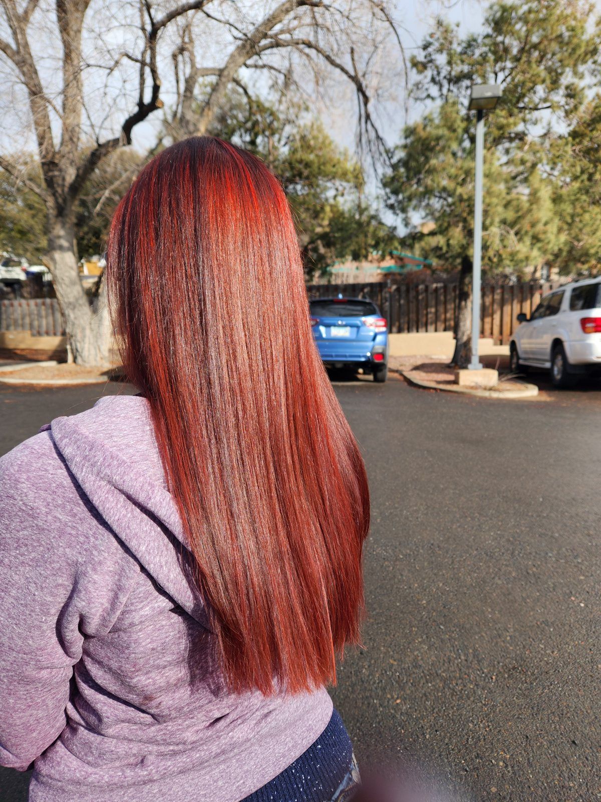 Long, sleek, vibrant copper-red hair, shown from behind outdoors.