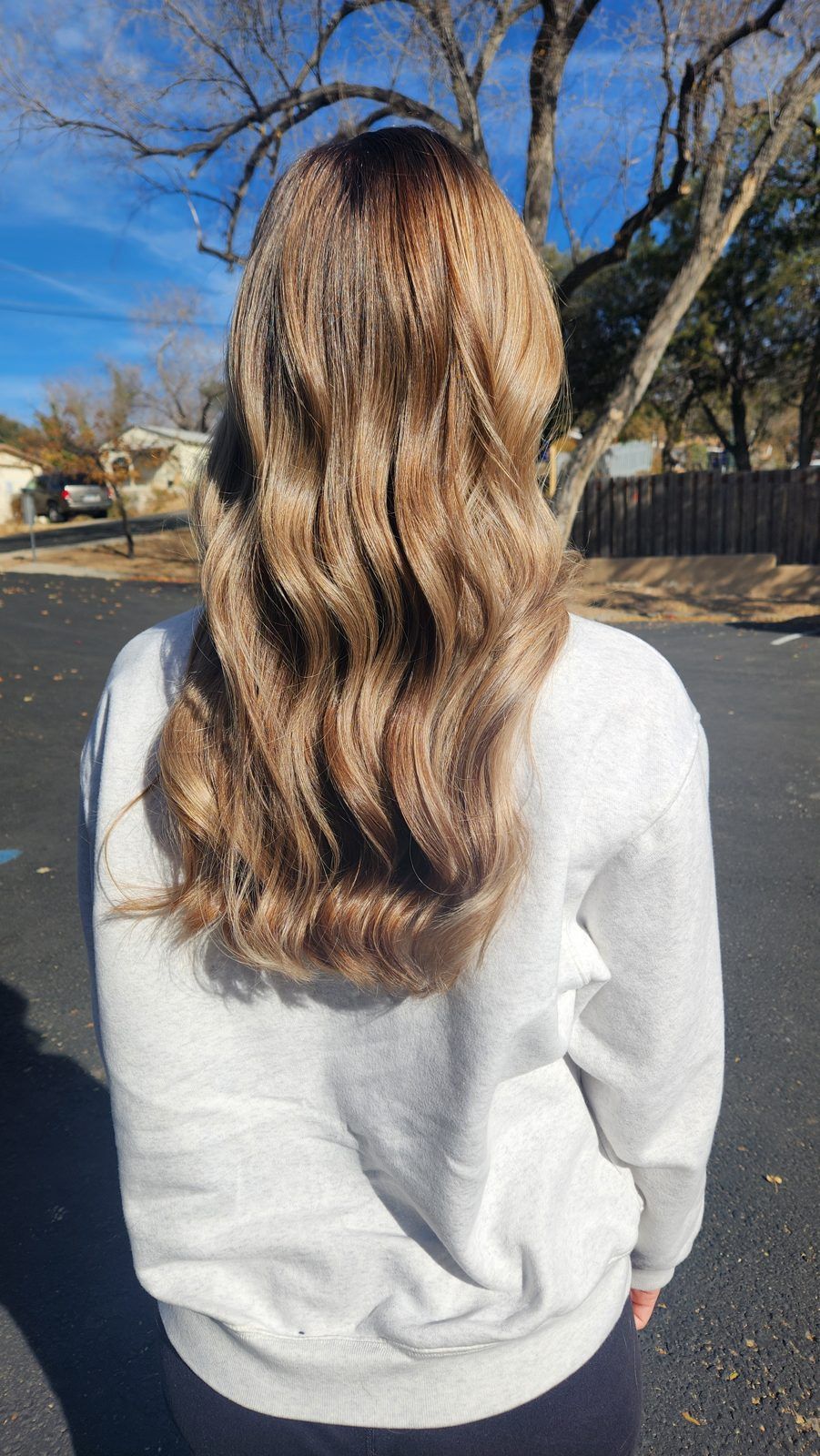 Long bronde balayage from dark roots to caramel-blonde waves, shown from behind outdoors.