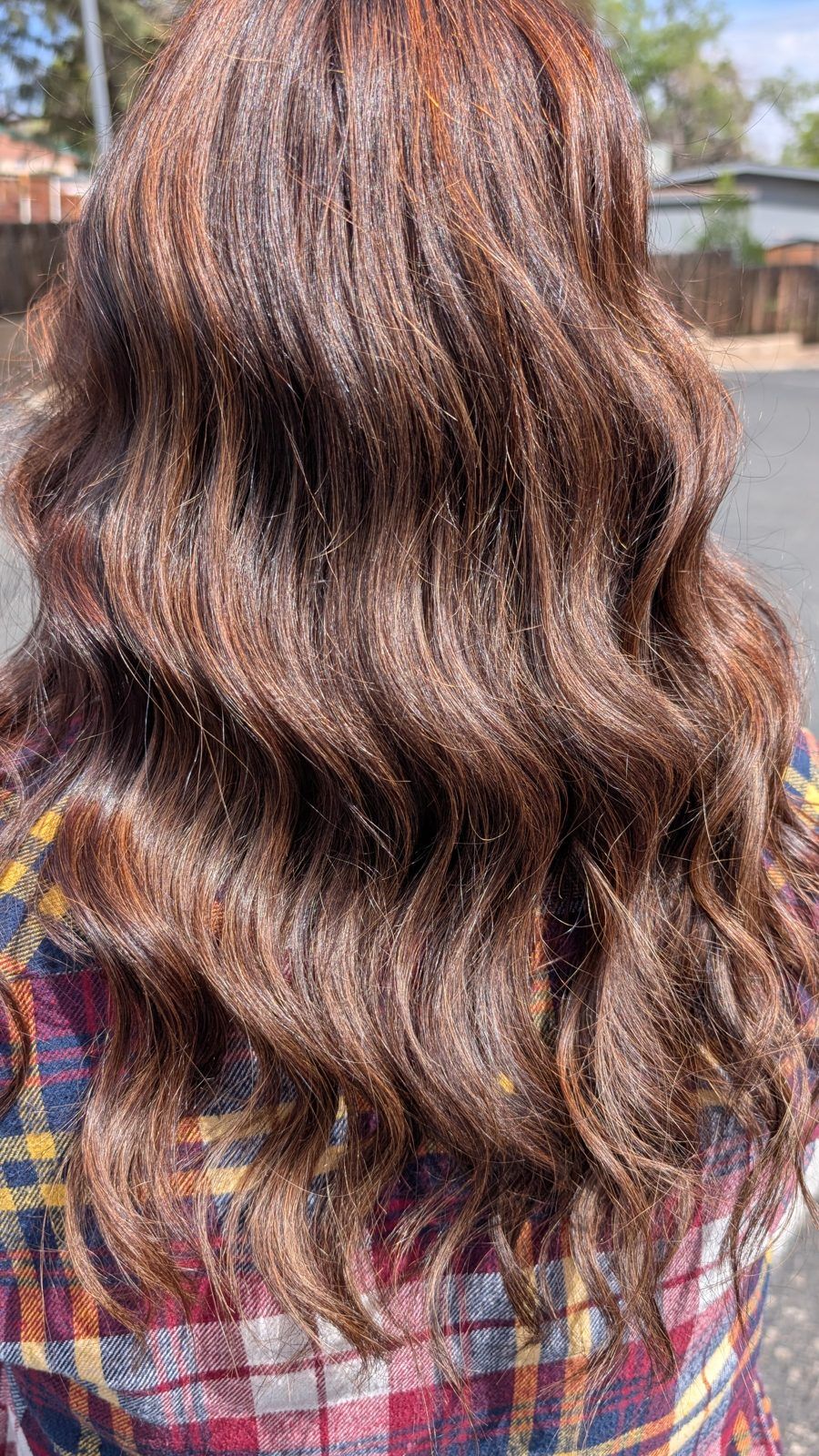 Glossy chocolate-brown waves with subtle copper highlights, shown from behind outdoors.